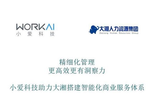 湖南省人社廳副廳長(zhǎng)謝春一行蒞臨小愛(ài)科技考察調(diào)研，共話人工智能與人力資源服務(wù)融合發(fā)展新篇章