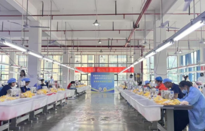 匠藝筑夢(mèng) 絨耀秦巴——安康市第六屆新社區(qū)工廠技能大賽總決賽圓滿落幕